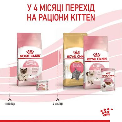 Royal Canin (Роял Канин) MOTHER & BABYCAT Cухой корм для кошки в период беременности и лактации, а также для котят 2 кг