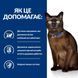 Hill&rsquo;s Prescription Diet m/d - Сухий корм для котів з куркою 1,5 кг