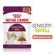 Royal Canin (Роял Канин) SENSORY SMELL GRAVY Влажный корм для кошек, стимулирующий обонятельные рецепторы в соусе