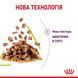 Royal Canin (Роял Канин) SENSORY SMELL GRAVY Влажный корм для кошек, стимулирующий обонятельные рецепторы в соусе