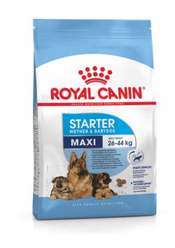 Royal Canin (Роял Канин) MAXI STARTER Cухой корм для сук крупных пород и щенков 4 кг