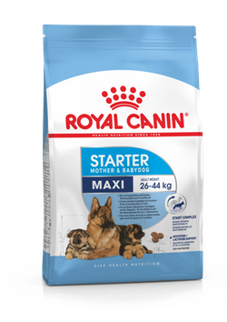 Royal Canin (Роял Канин) MAXI STARTER Cухой корм для сук крупных пород и щенков 4 кг