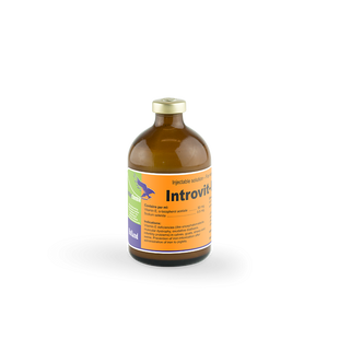 Interchemie Интровит Е- Селен 100 мл