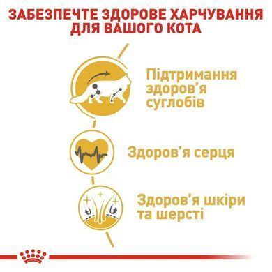 Royal Canin (Роял Канін) MAINE COON ADULT Сухий корм для кішок породи мейн-кун 2 кг