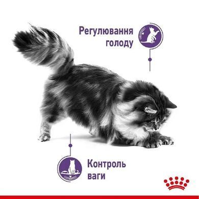 Сухий корм Royal Canin Appetite Control Care для стерилізованих кішок, 2 кг