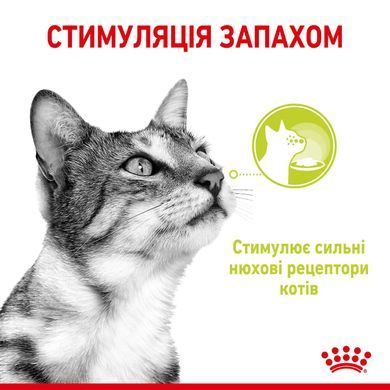 Royal Canin (Роял Канін) SENSORY SMELL JELLY Вологий корм для кішок, який cтимулює нюхові рецептори в желе