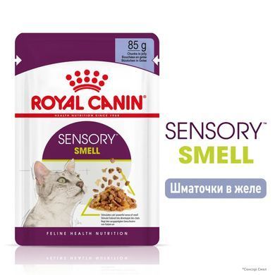 Royal Canin (Роял Канін) SENSORY SMELL JELLY Вологий корм для кішок, який cтимулює нюхові рецептори в желе