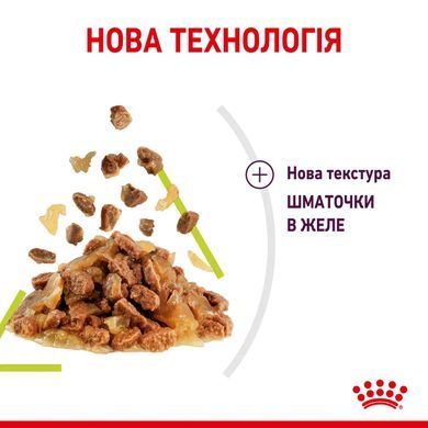 Royal Canin (Роял Канін) SENSORY SMELL JELLY Вологий корм для кішок, який cтимулює нюхові рецептори в желе