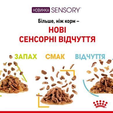 Royal Canin (Роял Канін) SENSORY SMELL JELLY Вологий корм для кішок, який cтимулює нюхові рецептори в желе