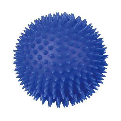 Игрушка для собак Trixie Мяч игольчатый с пищалкой d=10 см (винил, цвета в ассортименте)