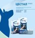 Цестал Плюс (Cestal Plus) таблетки від гельмінтів для собак, упаковка