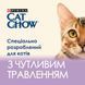 Cat Chow Sensetive Шматочки в желе з лососем та цукіні для котів 85 г