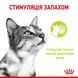 Royal Canin (Роял Канін) SENSORY SMELL JELLY Вологий корм для кішок, який cтимулює нюхові рецептори в желе