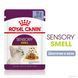 Royal Canin (Роял Канін) SENSORY SMELL JELLY Вологий корм для кішок, який cтимулює нюхові рецептори в желе