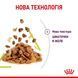 Royal Canin (Роял Канін) SENSORY SMELL JELLY Вологий корм для кішок, який cтимулює нюхові рецептори в желе