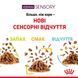 Royal Canin (Роял Канін) SENSORY SMELL JELLY Вологий корм для кішок, який cтимулює нюхові рецептори в желе