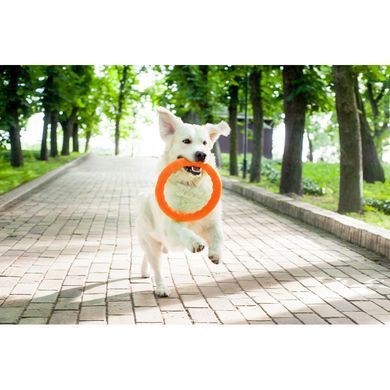 Кольцо PitchDog 20 см Голубой