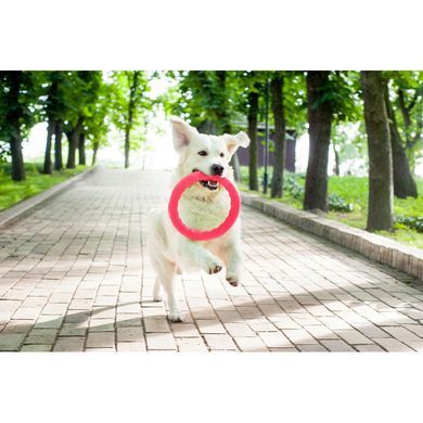 Кольцо PitchDog 20 см Голубой