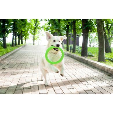 Кольцо PitchDog 20 см Голубой