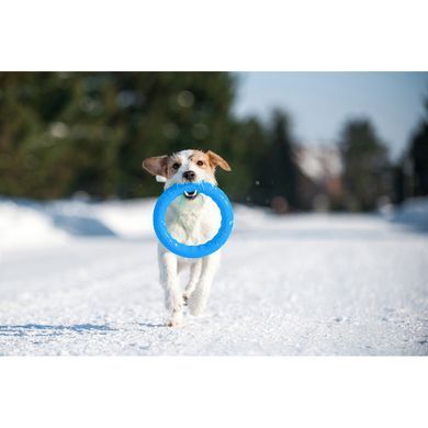 Кольцо PitchDog 20 см Голубой