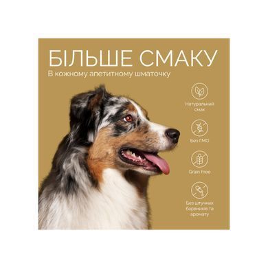 Savory Bars With Salmon Джерки батончики з лососем, 100 г