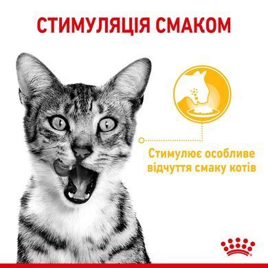 Royal Canin (Роял Канін) SENSORY TASTE GRAVY Вологий корм для кішок який, cтимулює смак в соусі
