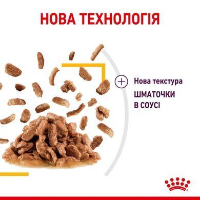 Royal Canin (Роял Канін) SENSORY TASTE GRAVY Вологий корм для кішок який, cтимулює смак в соусі