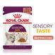 Royal Canin (Роял Канін) SENSORY TASTE GRAVY Вологий корм для кішок який, cтимулює смак в соусі