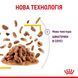 Royal Canin (Роял Канін) SENSORY TASTE GRAVY Вологий корм для кішок який, cтимулює смак в соусі