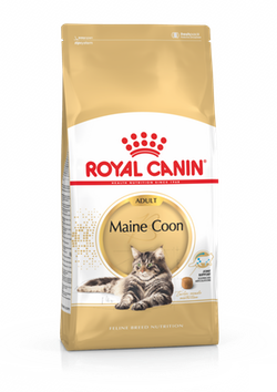 Royal Canin (Роял Канин) MAINE COON ADULT Сухой корм для кошек породы мейн-кун 10 кг