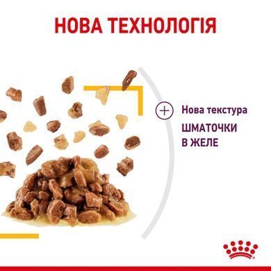 Royal Canin (Роял Канін) SENSORY TASTE JELLY Вологий корм для кішок який, cтимулює смак в желе