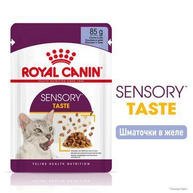 Royal Canin (Роял Канін) SENSORY TASTE JELLY Вологий корм для кішок який, cтимулює смак в желе