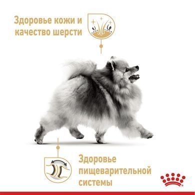 Сухий корм Royal Canin Pomeranian Adult для дорослих собак породи померанський шпіц, 1.5 кг