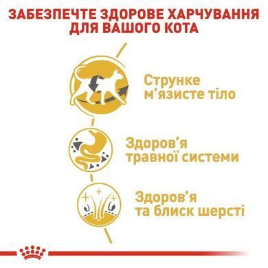 Royal Canin (Роял Канін) SIAMESE ADULT Сухий корм для кішок сіамської породи 0,4 кг