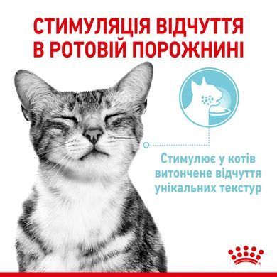 Royal Canin (Роял Канін) SENSORY FEEL GRAVY Вологий корм для кішок який, стимулює відчуття корму в соусі