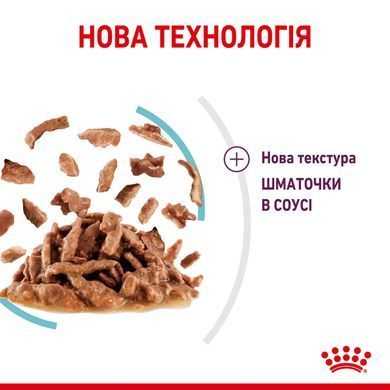 Royal Canin (Роял Канін) SENSORY FEEL GRAVY Вологий корм для кішок який, стимулює відчуття корму в соусі