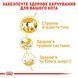 Royal Canin (Роял Канін) SIAMESE ADULT Сухий корм для кішок сіамської породи 0,4 кг