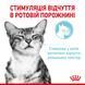 Royal Canin (Роял Канін) SENSORY FEEL GRAVY Вологий корм для кішок який, стимулює відчуття корму в соусі