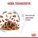 Royal Canin (Роял Канін) SENSORY FEEL GRAVY Вологий корм для кішок який, стимулює відчуття корму в соусі