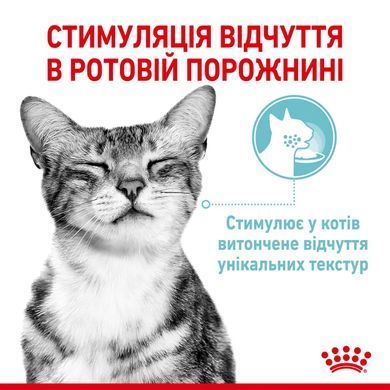 Royal Canin (Роял Канін) SENSORY FEEL JELLY Вологий корм для кішок який, стимулює відчуття корму в желе