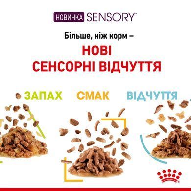 Royal Canin (Роял Канін) SENSORY FEEL JELLY Вологий корм для кішок який, стимулює відчуття корму в желе