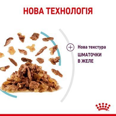 Royal Canin (Роял Канін) SENSORY FEEL JELLY Вологий корм для кішок який, стимулює відчуття корму в желе