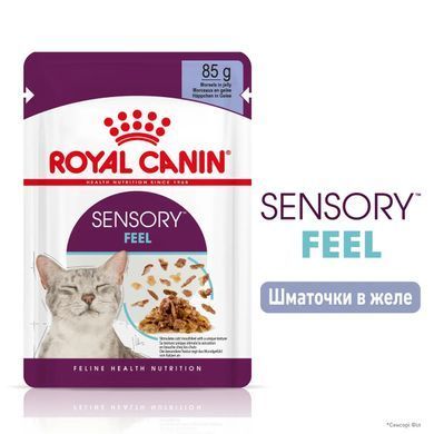 Royal Canin (Роял Канін) SENSORY FEEL JELLY Вологий корм для кішок який, стимулює відчуття корму в желе
