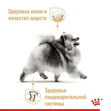 Сухой корм Royal Canin Pomeranian Adult для взрослых собак породы Померанский шпиц, 500 г