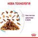 Royal Canin (Роял Канін) SENSORY FEEL JELLY Вологий корм для кішок який, стимулює відчуття корму в желе