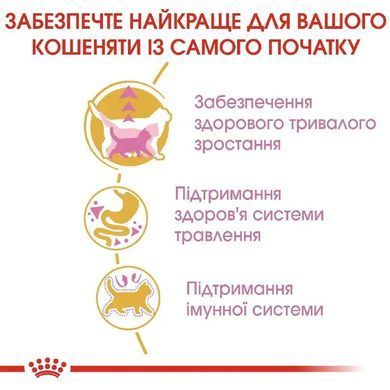 Royal Canin (Роял Канін) MAINECOON KITTEN Cухий корм для породи мейн-кун 0,4 кг