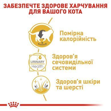 Royal Canin (Роял Канін) BRITISH SHORTHAIR ADULT Вологий корм для кішок британської породи, шматочки в соусі
