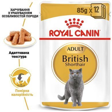 Royal Canin (Роял Канін) BRITISH SHORTHAIR ADULT Вологий корм для кішок британської породи, шматочки в соусі