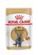 Royal Canin (Роял Канін) BRITISH SHORTHAIR ADULT Вологий корм для кішок британської породи, шматочки в соусі