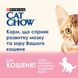 CAT CHOW Kitten - Сухой корм для котят с курицей 15 кг